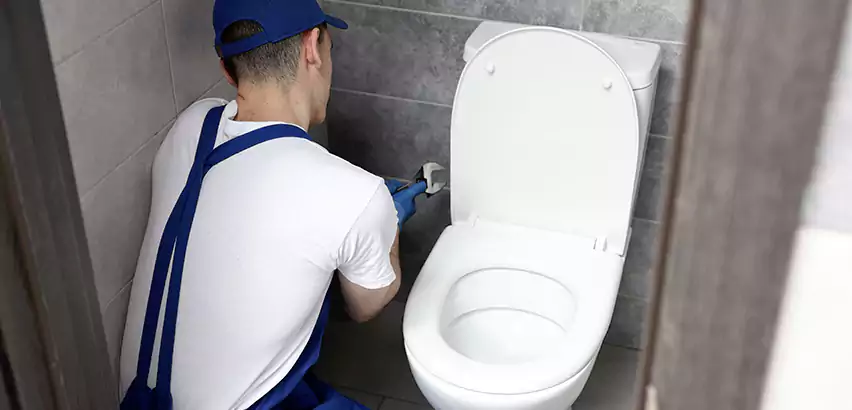 Toilet Lid Replacement in Lindenhurst